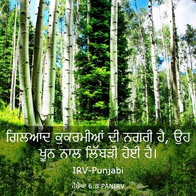Picture 03 - ਹੋਸ਼ੇਆ 6:8 PANIRV - ਗਿਲਆਦ ਕੁਕਰਮੀਆਂ ਦੀ - Bible Verse Picture