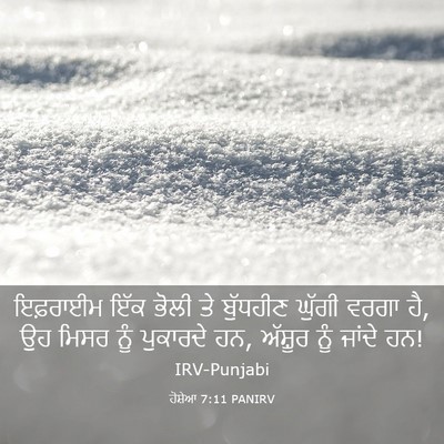 Picture 03 - ਹੋਸ਼ੇਆ 7:11 PANIRV - ਇਫ਼ਰਾਈਮ ਇੱਕ ਭੋਲੀ - Bible Verse Picture