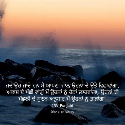 Picture 03 - ਹੋਸ਼ੇਆ 7:12 PANIRV - ਜਦ ਉਹ ਜਾਂਦੇ ਹਨ ਮੈਂ - Bible Verse Picture