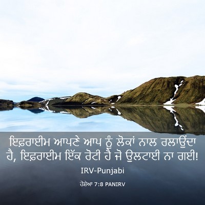 Picture 03 - ਹੋਸ਼ੇਆ 7:8 PANIRV - ਇਫ਼ਰਾਈਮ ਆਪਣੇ ਆਪ - Bible Verse Picture
