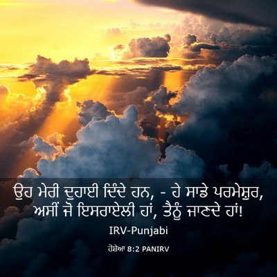 Picture 03 - ਹੋਸ਼ੇਆ 8:2 PANIRV - ਉਹ ਮੇਰੀ ਦੁਹਾਈ - Bible Verse Picture