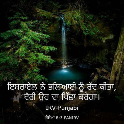 Picture 03 - ਹੋਸ਼ੇਆ 8:3 PANIRV - ਇਸਰਾਏਲ ਨੇ ਭਲਿਆਈ - Bible Verse Picture