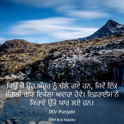 Picture 03 - ਹੋਸ਼ੇਆ 8:9 PANIRV - ਕਿਉਂ ਜੋ ਉਹ ਅੱਸ਼ੂਰ - Bible Verse Picture