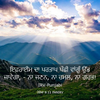 Picture 03 - ਹੋਸ਼ੇਆ 9:11 PANIRV - ਇਫ਼ਰਾਈਮ ਦਾ ਪਰਤਾਪ - Bible Verse Picture