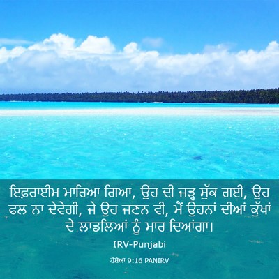 Picture 03 - ਹੋਸ਼ੇਆ 9:16 PANIRV - ਇਫ਼ਰਾਈਮ ਮਾਰਿਆ ਗਿਆ, - Bible Verse Picture