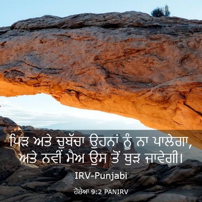 Picture 03 - ਹੋਸ਼ੇਆ 9:2 PANIRV - ਪਿੜ ਅਤੇ ਚੁਬੱਚਾ - Bible Verse Picture