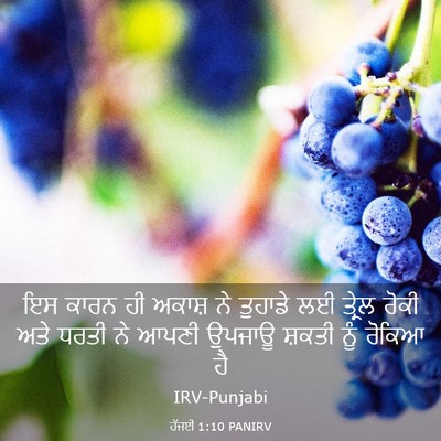 Picture 03 - ਹੱਜਈ 1:10 PANIRV - ਇਸ ਕਾਰਨ ਹੀ ਅਕਾਸ਼ ਨੇ - Bible Verse Picture