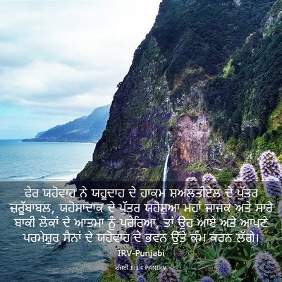 Picture 03 - ਹੱਜਈ 1:14 PANIRV - ਫੇਰ ਯਹੋਵਾਹ ਨੇ - Bible Verse Picture