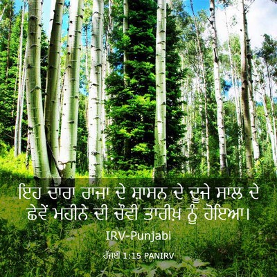 Picture 03 - ਹੱਜਈ 1:15 PANIRV - ਇਹ ਦਾਰਾ ਰਾਜਾ ਦੇ - Bible Verse Picture