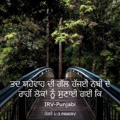 Picture 03 - ਹੱਜਈ 1:3 PANIRV - ਤਦ ਯਹੋਵਾਹ ਦੀ ਗੱਲ - Bible Verse Picture