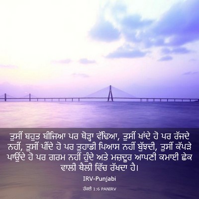 Picture 03 - ਹੱਜਈ 1:6 PANIRV - ਤੁਸੀਂ ਬਹੁਤ ਬੀਜਿਆ - Bible Verse Picture
