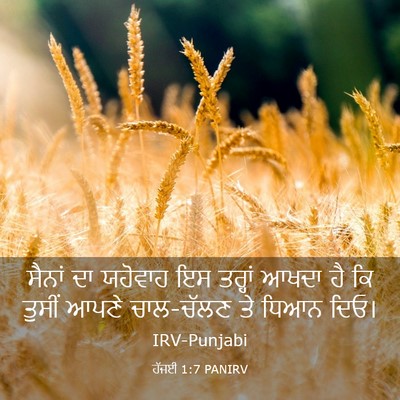 Picture 03 - ਹੱਜਈ 1:7 PANIRV - ਸੈਨਾਂ ਦਾ ਯਹੋਵਾਹ ਇਸ - Bible Verse Picture