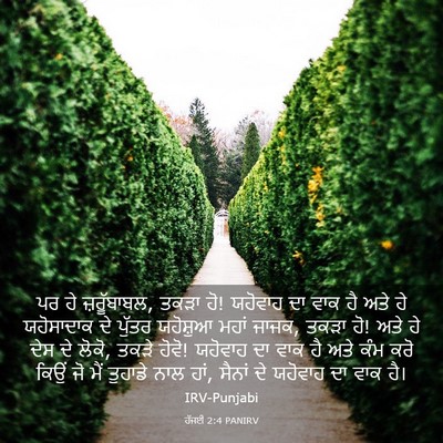 Picture 03 - ਹੱਜਈ 2:4 PANIRV - ਪਰ ਹੇ ਜ਼ਰੂੱਬਾਬਲ, - Bible Verse Picture