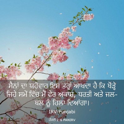 Picture 03 - ਹੱਜਈ 2:6 PANIRV - ਸੈਨਾਂ ਦਾ ਯਹੋਵਾਹ ਇਸ - Bible Verse Picture