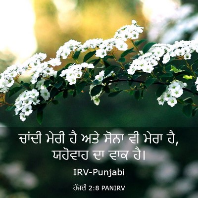 Picture 03 - ਹੱਜਈ 2:8 PANIRV - ਚਾਂਦੀ ਮੇਰੀ ਹੈ ਅਤੇ - Bible Verse Picture