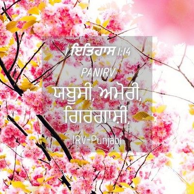Picture 04 - 1 ਇਤਿਹਾਸ 1:14 PANIRV - ਯਬੂਸੀ, ਅਮੋਰੀ, - Bible Verse Picture