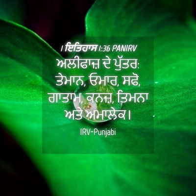 Picture 04 - 1 ਇਤਿਹਾਸ 1:36 PANIRV - ਅਲੀਫਾਜ਼ ਦੇ ਪੁੱਤਰ: - Bible Verse Picture
