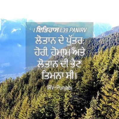Picture 04 - 1 ਇਤਿਹਾਸ 1:39 PANIRV - ਲੋਤਾਨ ਦੇ ਪੁੱਤਰ: - Bible Verse Picture