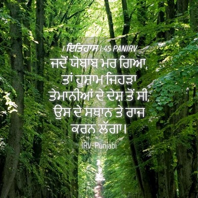 Picture 04 - 1 ਇਤਿਹਾਸ 1:45 PANIRV - ਜਦੋਂ ਯੋਬਾਬ ਮਰ ਗਿਆ, - Bible Verse Picture