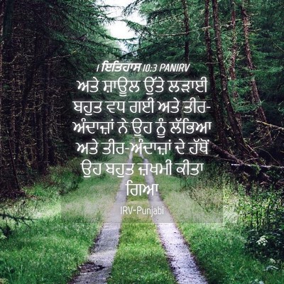 Picture 04 - 1 ਇਤਿਹਾਸ 10:3 PANIRV - ਅਤੇ ਸ਼ਾਊਲ ਉੱਤੇ - Bible Verse Picture