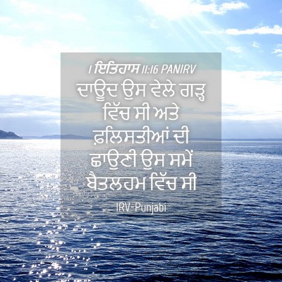Picture 04 - 1 ਇਤਿਹਾਸ 11:16 PANIRV - ਦਾਊਦ ਉਸ ਵੇਲੇ ਗੜ੍ਹ - Bible Verse Picture