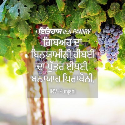 Picture 04 - 1 ਇਤਿਹਾਸ 11:31 PANIRV - ਗਿਬਅਹ ਦਾ - Bible Verse Picture