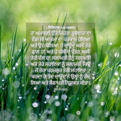 Picture 04 - 1 ਇਤਿਹਾਸ 12:18 PANIRV - ਤਾਂ ਅਮਾਸਈ ਉੱਤੇ - Bible Verse Picture