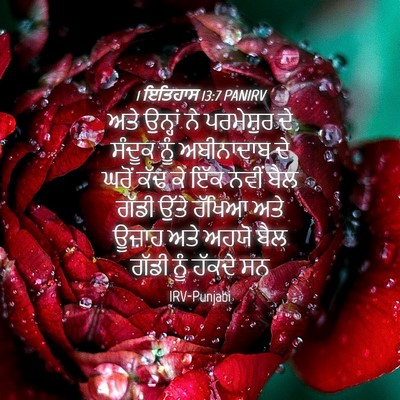 Picture 04 - 1 ਇਤਿਹਾਸ 13:7 PANIRV - ਅਤੇ ਉਨ੍ਹਾਂ ਨੇ - Bible Verse Picture