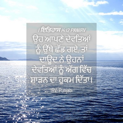 Picture 04 - 1 ਇਤਿਹਾਸ 14:12 PANIRV - ਉਹ ਆਪਣੇ ਦੇਵਤਿਆਂ - Bible Verse Picture