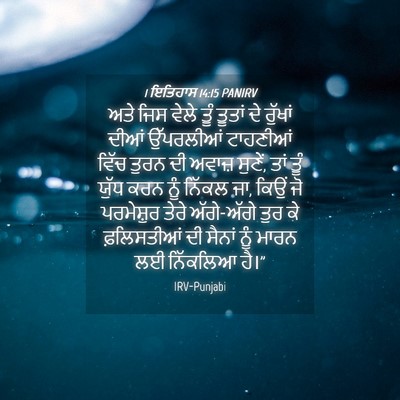 Picture 04 - 1 ਇਤਿਹਾਸ 14:15 PANIRV - ਅਤੇ ਜਿਸ ਵੇਲੇ ਤੂੰ - Bible Verse Picture