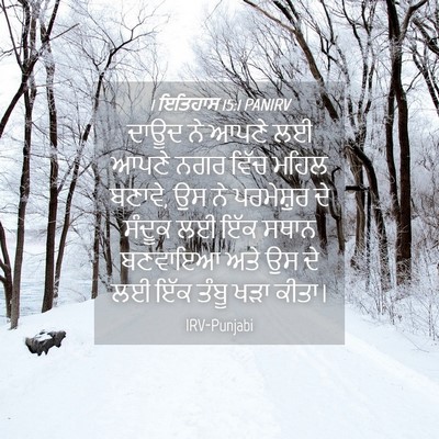 Picture 04 - 1 ਇਤਿਹਾਸ 15:1 PANIRV - ਦਾਊਦ ਨੇ ਆਪਣੇ ਲਈ - Bible Verse Picture