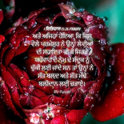 Picture 04 - 1 ਇਤਿਹਾਸ 15:26 PANIRV - ਅਤੇ ਅਜਿਹਾ ਹੋਇਆ, ਕਿ - Bible Verse Picture
