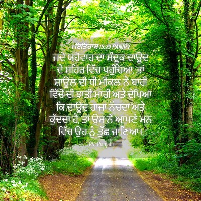 Picture 04 - 1 ਇਤਿਹਾਸ 15:29 PANIRV - ਜਦੋਂ ਯਹੋਵਾਹ ਦਾ - Bible Verse Picture
