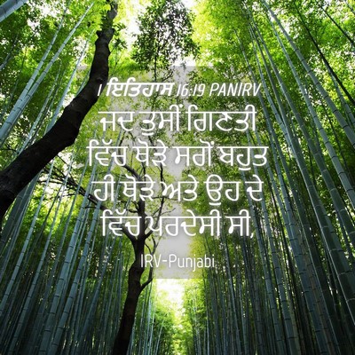 Picture 04 - 1 ਇਤਿਹਾਸ 16:19 PANIRV - ਜਦ ਤੁਸੀਂ ਗਿਣਤੀ - Bible Verse Picture