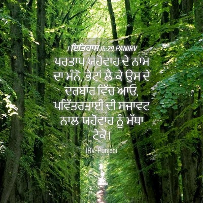 Picture 04 - 1 ਇਤਿਹਾਸ 16:29 PANIRV - ਪਰਤਾਪ ਯਹੋਵਾਹ ਦੇ - Bible Verse Picture