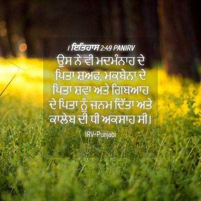 Picture 04 - 1 ਇਤਿਹਾਸ 2:49 PANIRV - ਉਸ ਨੇ ਵੀ ਮਦਮੰਨਾਹ ਦੇ - Bible Verse Picture