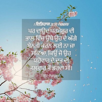 Picture 04 - 1 ਇਤਿਹਾਸ 21:30 PANIRV - ਪਰ ਦਾਊਦ ਪਰਮੇਸ਼ੁਰ - Bible Verse Picture