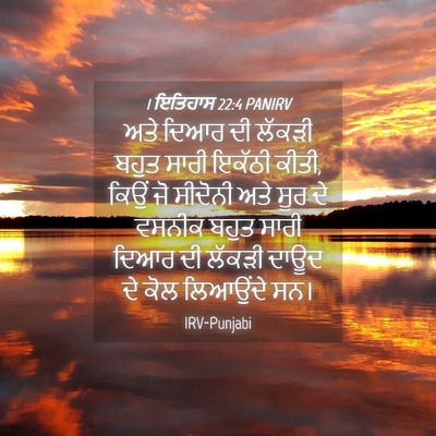 Picture 04 - 1 ਇਤਿਹਾਸ 22:4 PANIRV - ਅਤੇ ਦਿਆਰ ਦੀ ਲੱਕੜੀ - Bible Verse Picture