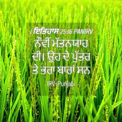 Picture 04 - 1 ਇਤਿਹਾਸ 25:16 PANIRV - ਨੌਵੀਂ ਮੱਤਨਯਾਹ ਦੀ। - Bible Verse Picture