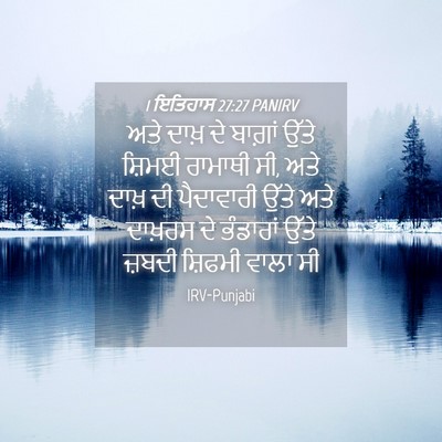 Picture 04 - 1 ਇਤਿਹਾਸ 27:27 PANIRV - ਅਤੇ ਦਾਖ਼ ਦੇ ਬਾਗ਼ਾਂ - Bible Verse Picture
