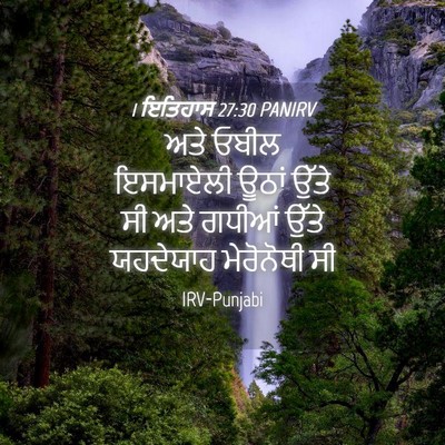 Picture 04 - 1 ਇਤਿਹਾਸ 27:30 PANIRV - ਅਤੇ ਓਬੀਲ ਇਸਮਾਏਲੀ - Bible Verse Picture