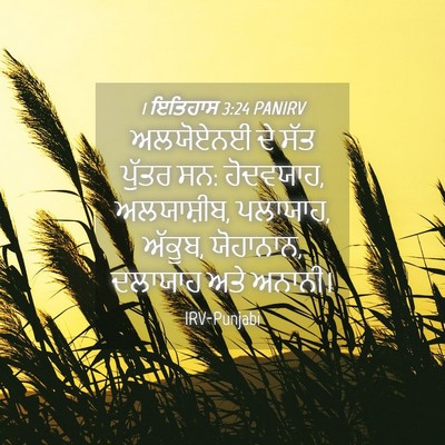 Picture 04 - 1 ਇਤਿਹਾਸ 3:24 PANIRV - ਅਲਯੋਏਨਈ ਦੇ ਸੱਤ - Bible Verse Picture