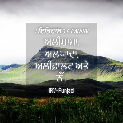 Picture 04 - 1 ਇਤਿਹਾਸ 3:8 PANIRV - ਅਲੀਸ਼ਾਮਾ, ਅਲਯਾਦਾ, - Bible Verse Picture