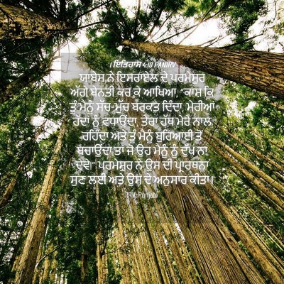 Picture 04 - 1 ਇਤਿਹਾਸ 4:10 PANIRV - ਯਾਬੇਸ ਨੇ ਇਸਰਾਏਲ ਦੇ - Bible Verse Picture