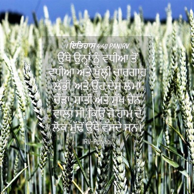 Picture 04 - 1 ਇਤਿਹਾਸ 4:40 PANIRV - ਉੱਥੇ ਉਨ੍ਹਾਂ ਨੂੰ - Bible Verse Picture