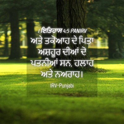 Picture 04 - 1 ਇਤਿਹਾਸ 4:5 PANIRV - ਅਤੇ ਤਕੋਆਹ ਦੇ ਪਿਤਾ - Bible Verse Picture