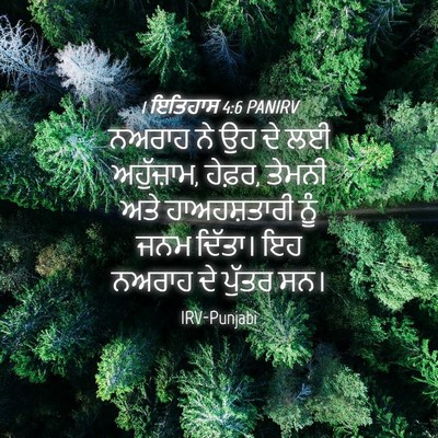 Picture 04 - 1 ਇਤਿਹਾਸ 4:6 PANIRV - ਨਅਰਾਹ ਨੇ ਉਹ ਦੇ ਲਈ - Bible Verse Picture