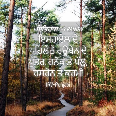 Picture 04 - 1 ਇਤਿਹਾਸ 5:3 PANIRV - ਇਸਰਾਏਲ ਦੇ ਪਹਿਲੌਠੇ - Bible Verse Picture