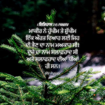 Picture 04 - 1 ਇਤਿਹਾਸ 7:15 PANIRV - ਮਾਕੀਰ ਨੇ ਹੁੱਪੀਮ ਤੇ - Bible Verse Picture