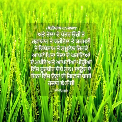 Picture 04 - 1 ਇਤਿਹਾਸ 7:2 PANIRV - ਅਤੇ ਤੋਲਾ ਦੇ ਪੁੱਤਰ - Bible Verse Picture